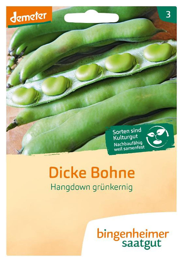 Produktfoto zu Saatgut Dicke Bohne Hangdown