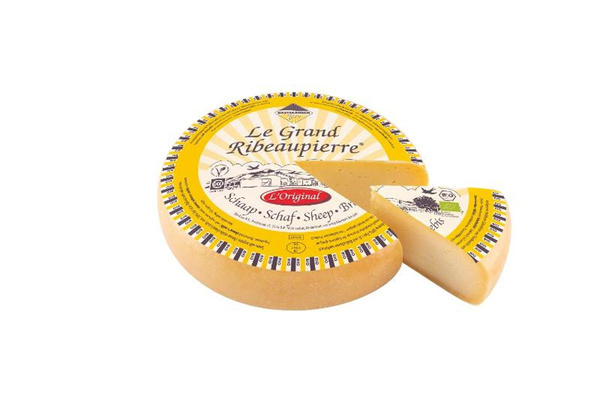 Produktfoto zu Schaf Ribeaupierre, 4 Wochen