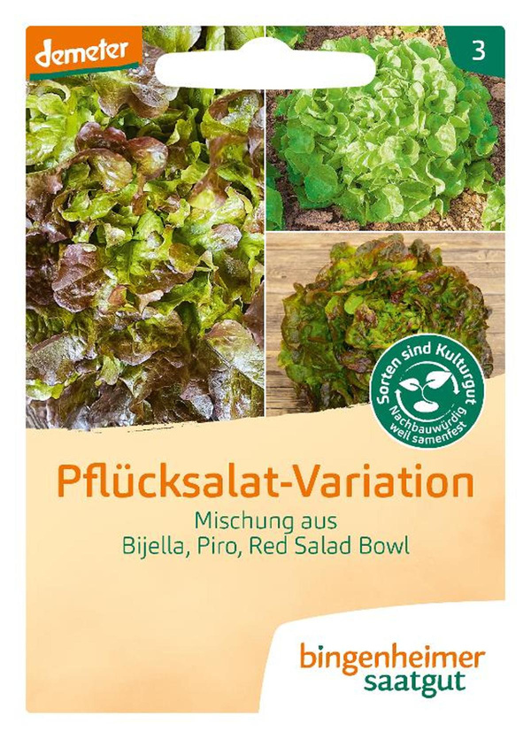 Produktfoto zu sSaatgut Pflücksalat Variation