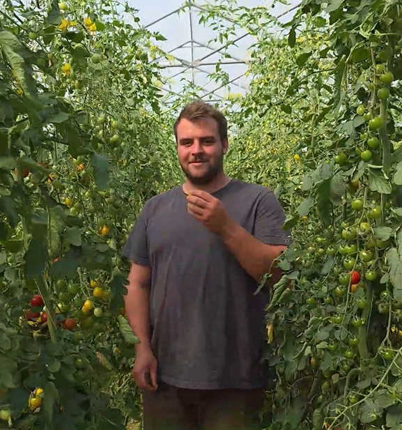 Sebastian im Tomaten-Gewächshaus