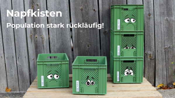 Grüne Kisten stehen auf einer Palette