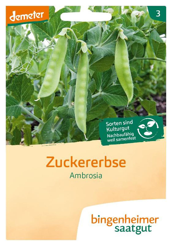 Produktfoto zu Saatgut Zuckererbse Ambrosia