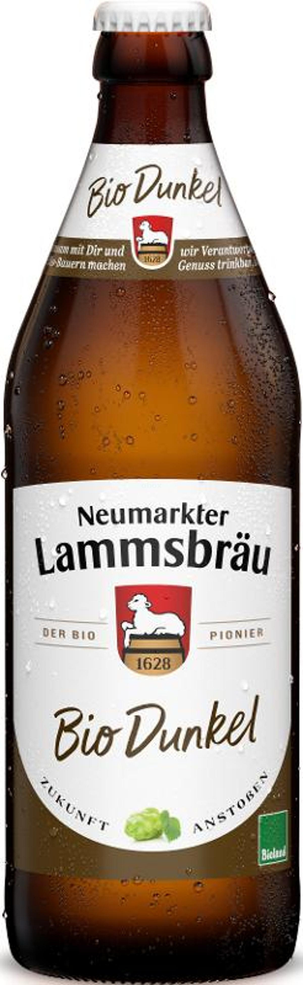 Produktfoto zu BIER DUNKEL 10x0,5 L