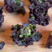 Flower Sprouts