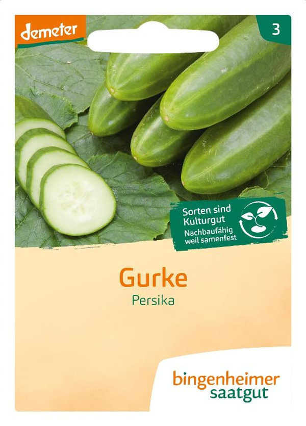 Produktfoto zu Saatgut Freiland Gurke Persika