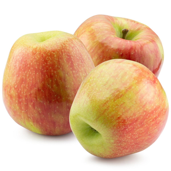 Produktfoto zu Frühapfel Delbar-Estival