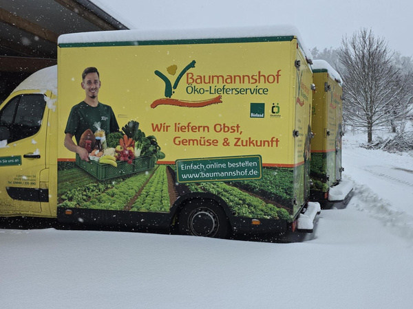 Lieferauto im Schnee