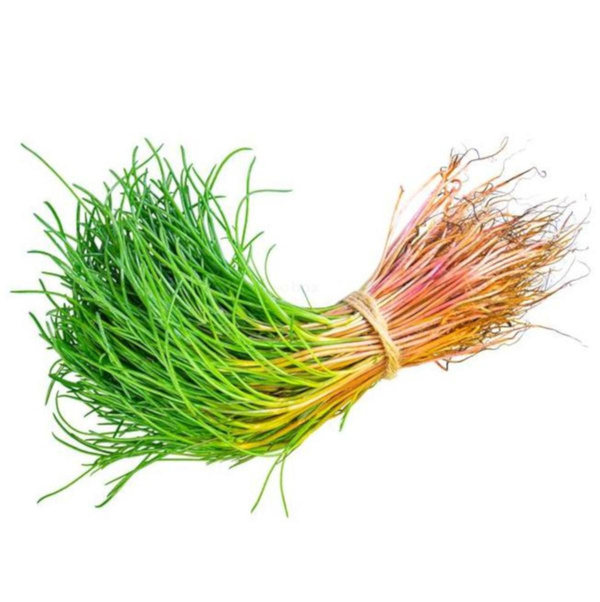 Produktfoto zu Mönchsbart - Bund