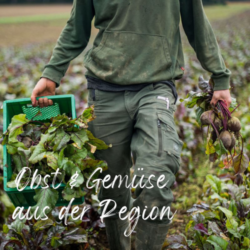 Person läuft auf einem Acker, sie hält Rote Bete in der Hand