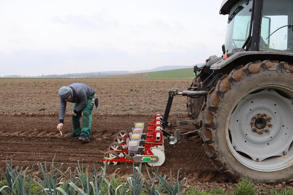 Benni kontrolliert Aussaat