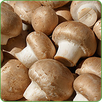 Champignons