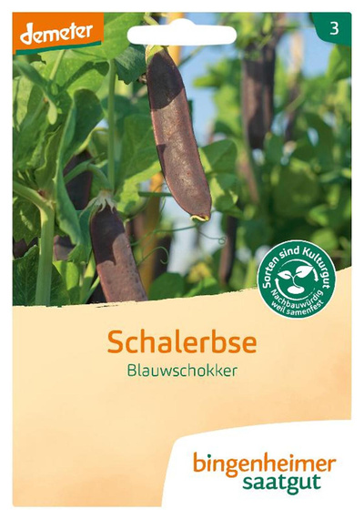 Produktfoto zu Saatg.Schalerbse Blauwschokker