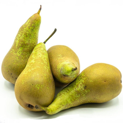 Produktfoto zu Birne Alexander Lucas