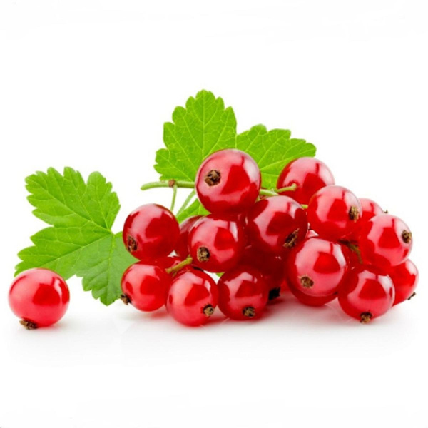 Produktfoto zu Johannisbeeren rot 150g