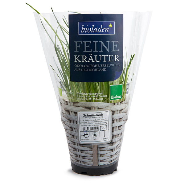 Produktfoto zu Kräutertopf Schnittlauch