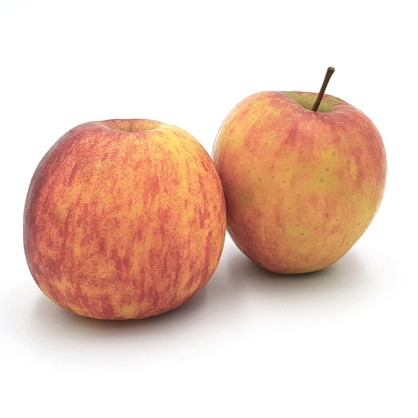 Produktfoto zu Apfel Jonagored