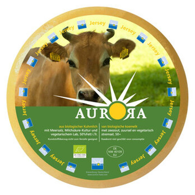 Produktfoto zu Aurora Jersey alt