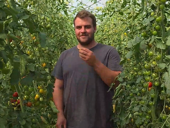Sebastian im Tomaten-Gewächshaus