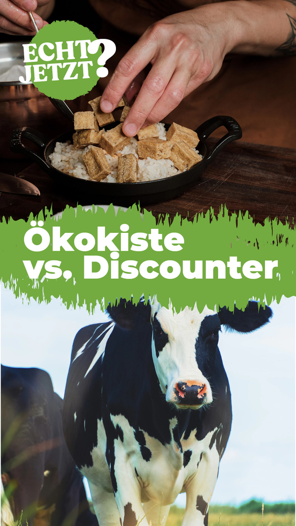 Vegane Ersatzprodukte