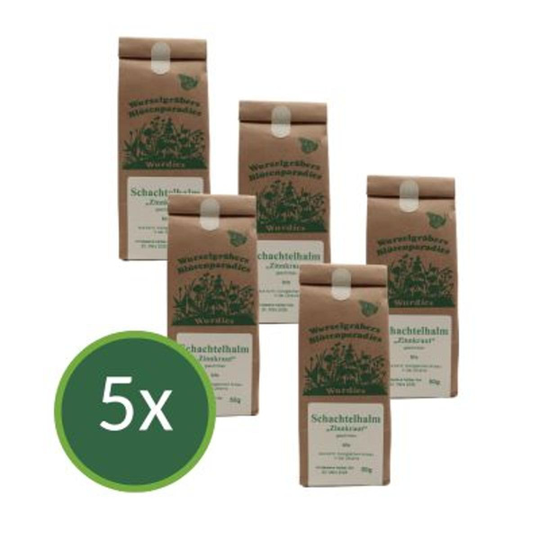 Produktfoto zu Zinnkraut Schachtelhalm 5x50g