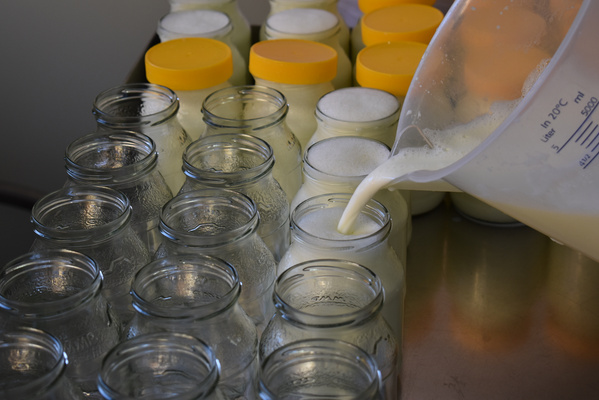 Joghurt wird am Hausenhof in Mehrweggläser abgefüllt