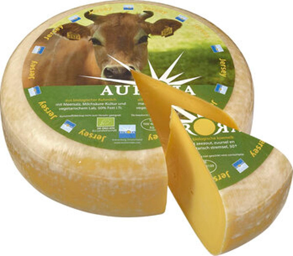 Produktfoto zu Aurora Jersey alt