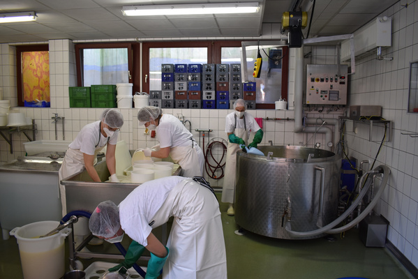 Geschäftiges Treiben in der Käserei