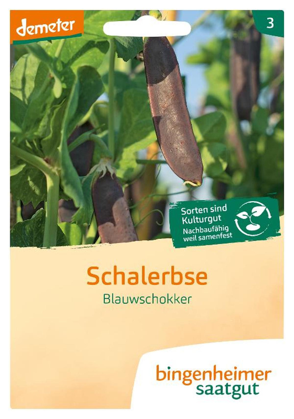 Produktfoto zu Saatg.Schalerbse Blauwschokker