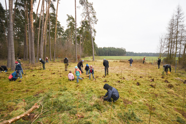 Pflanzaktion von TreePlantingProjects.