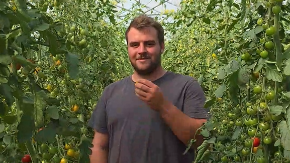 Sebastian Baumann im Gewächshaus