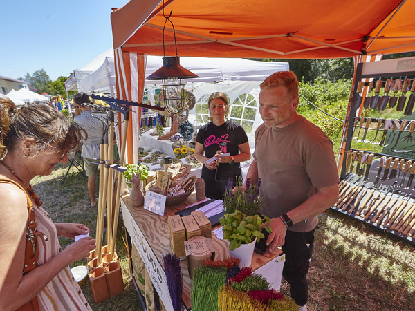 KI generiert: Ein Marktstand mit Gartenwerkzeugen und Pflanzen, an dem zwei Personen bedient werden.