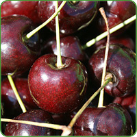 Kirschen mit Stiel