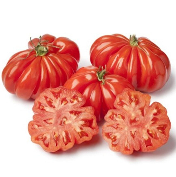 Produktfoto zu Fleischtomate Ochsenherz