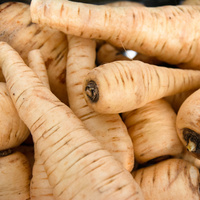 Pastinake Nahaufnahme