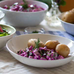 Rote Bete Hausfrauenart 