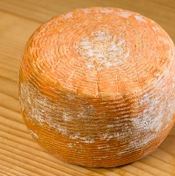 Produktfoto zu Zieg-Corino, 4 Monate, lakt.fr.
