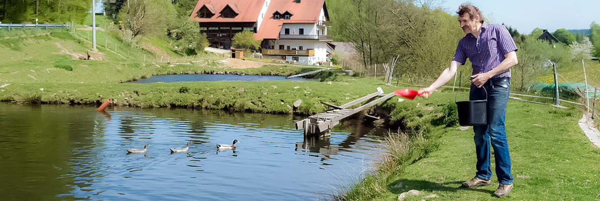 Person wirft Futter in einen Teich