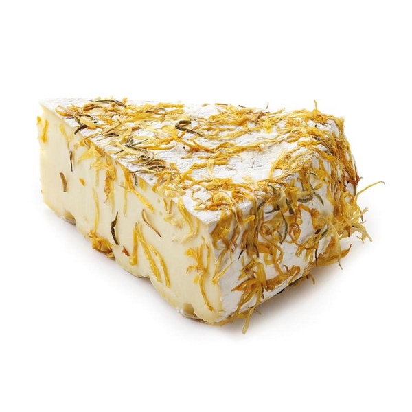 Produktfoto zu Brie Marigold (Ringelblume)