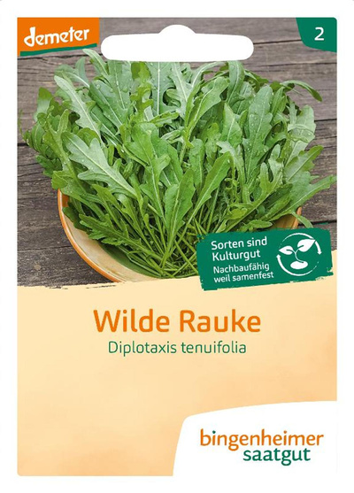 Produktfoto zu Saatgut Wilde Rauke Rucola