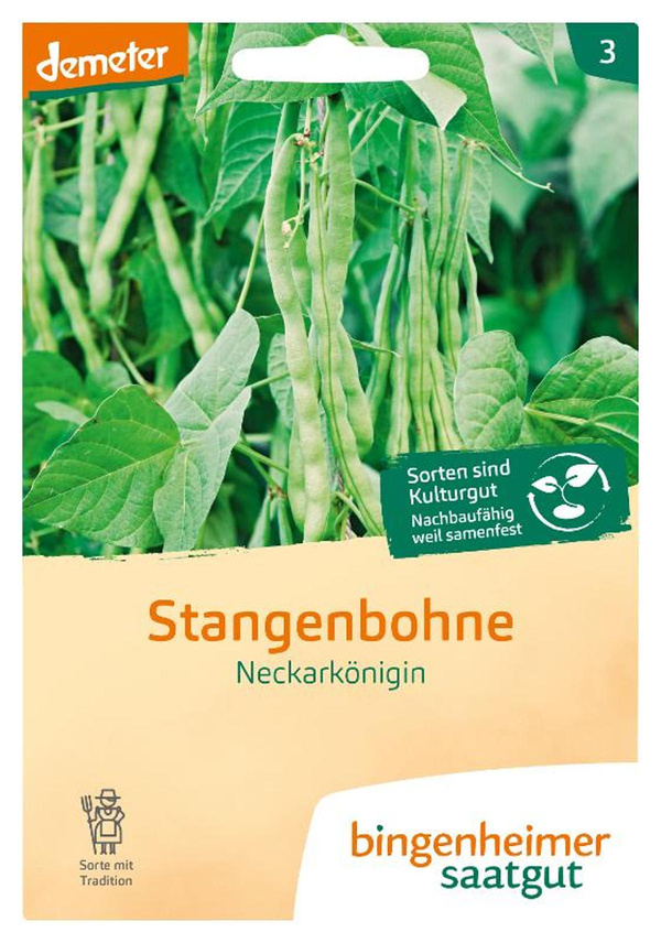 Produktfoto zu Stangenbohnen Neckarkönigin