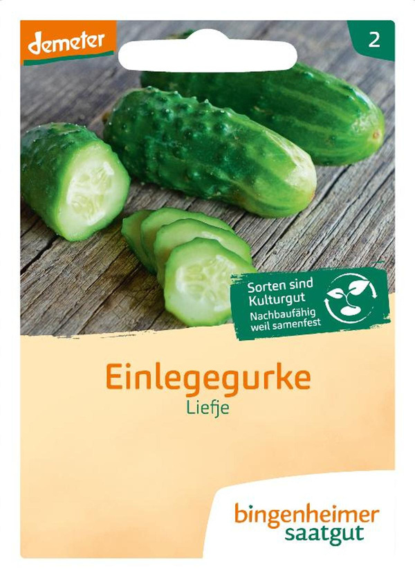 Produktfoto zu Saatgut Einlegegurke Liefje