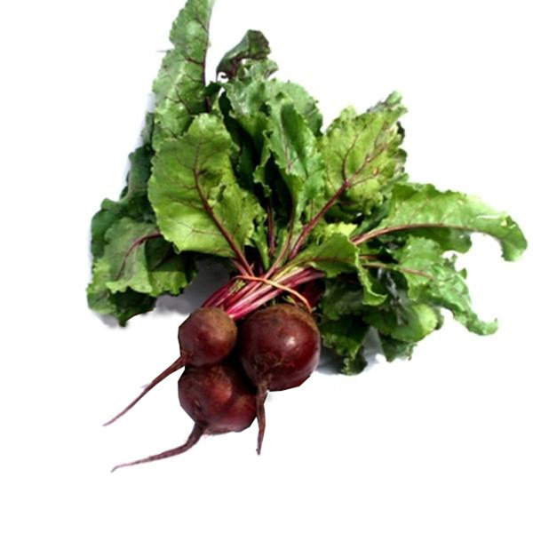 Produktfoto zu Rote Bete im Bund