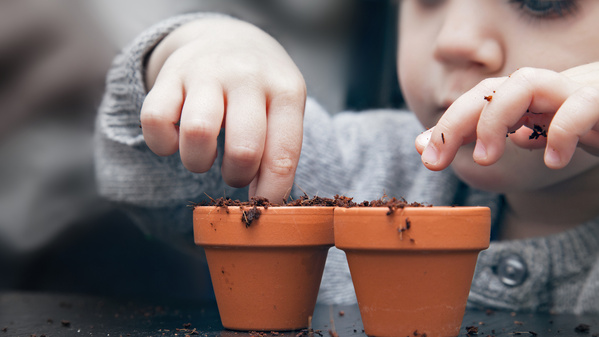 Kind sät Samen in kleine Tontöpfe