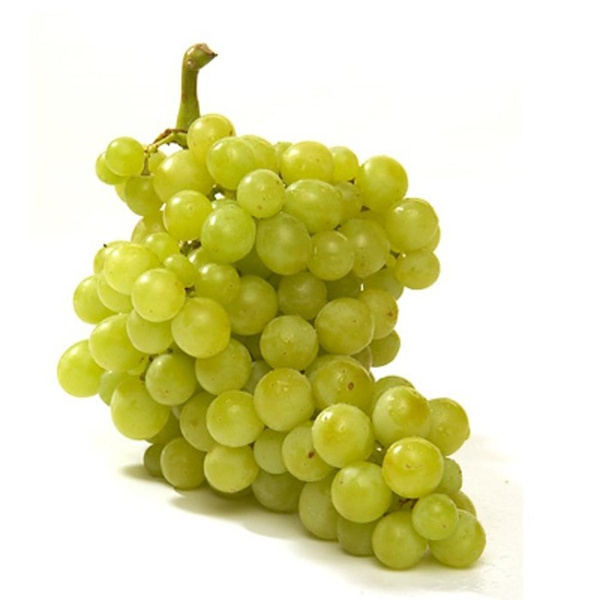 Produktfoto zu Trauben weiß