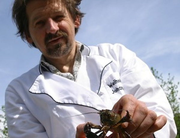 Johann Kraus Koch und Fischzüchter