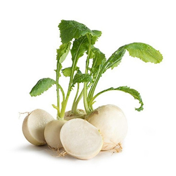 Produktfoto zu Mairübchen Bund