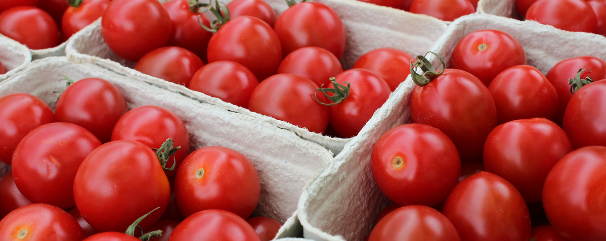 Cherry Tomaten