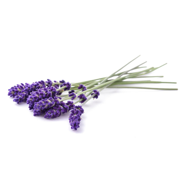 Produktfoto zu Kräuter: Lavendel