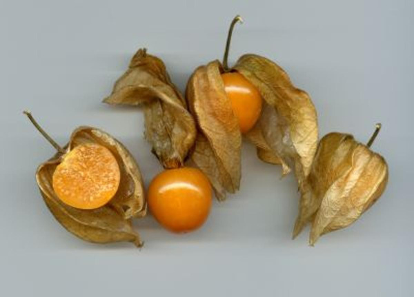 Produktfoto zu Physalis 100g