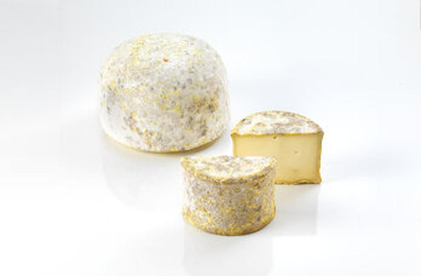 Produktfoto zu Schaf L`Agasse du Larzac, 3 Monate